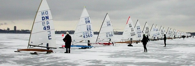 The Gold Fleet Lines Up